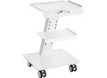 Carrello Da Laboratorio Deluxe - Carrello Mobile In Metallo A 3 Strati Con Ruote Piroettanti - Carrello Di Servizio Per Laboratori, Cliniche E Saloni Di Bellezza - Capacità Di Carico Di 100 Kg