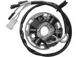Statore Sgr 6 Poli Con Piastra E Pick-Up