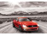 Puzzle 1000 Pezzi - Puzzle - 50 Anni Ford Mustang Gt 2015 + Puzzle Telaio In Alluminio Per 1000 Pezzi