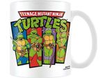 Teenage Mutant Ninja Turtles - Tazza Con Stampa "It's Ninja Time"" PM10700 (Taglia Unica) (Verde/Bianco)"