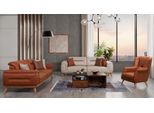 Soggiorno Di Design Set Di Divani 3 Posti Poltrona Imbottita 3 Pezzi