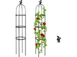 Traliccio Di Piante Rampicanti, Picchetto Della Pianta, Traliccio Della Pianta, Vite Rampicante Di Giardinaggio, Vite Rampicante Della Pianta