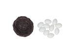 Mini Uova E Nido Di Simulazione, Mini Uova E Nido Artificiali, Nido Con Uova Per La Casa Delle Bambole, Nido Artificiale Per La Casa Delle Bambole, Modello Di Nido Per La Casa Delle Bambole, Accessori Per La Casa Delle Bambole