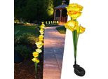 Luci Solari Per Fiori Da Giardino, Luci Solari Per Fiori, Luci Solari Per Giardini, Luce Solare A Led, Luci Led Per Fiori