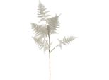 Countryfield Fiore Artificiale Asparago Ramo Decorativo Grigio Chiaro 85Cm
