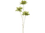 Countryfield Fiore Artificiale Magnolia Decorazione Verde Oro 81Cm Fiore