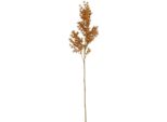 Countryfield Fiore Artificiale Asparago Arancione Decorazione 73 Cm Plastica