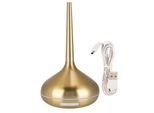120Ml Umidificatore Profumo Diffusore 7 Colori Led Luce Notturna Umidificatore Oro