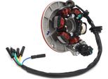 Magneto Stator Plate, Magneto Stator Coil, Moto Magneto Stator, Magneto Stator Per Lifan, Moto Accessorio