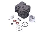 Kit Cilindro, Set Pistone Cilindro, Gruppo Pistone Cilindro, Cilindro Per Stihl, 4134 020 1214, Accessori Motosega