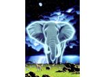 Grafika Puzzle Schim Schimmel - Spirito Dell'africa - 1000 Pezzi Animali