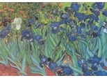 Puzzle Grafico Van Gogh Vincent - Saint-Remy - Les Iris 1000 Pezzi