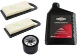 Filtro Olio + Filtro Aria + Olio SAE30 Per Briggs & Stratton B&S 492932 695547 100006E
