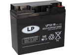 Batteria Al Piombo Landport 12V 18Ah Agm Nsa LP12-18 T3 Vds