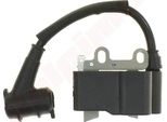 Bobina Di Accensione Su Echo Pb-200 , Pb-225 ( A411000120 , A411000130 )