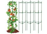 Supporto Per Piante Rampicanti - 4X Supporto Per Piante In Gabbia Per Pomodori - 160 Cm Per Piante Da Giardino - Stabile E Resistente