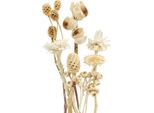 Miscela Di Fiori Secchi 60Pz Assortimento Decorativo Esotico Sbiancato Per La Fioritura E La Decorazione Della Tavola