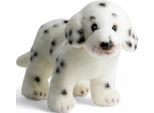 Carl Dick Dalmata In Piedi Di Circa 21 Cm Peluche, Peluche, Peluche 3626