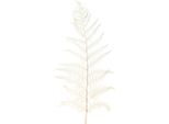 Foglie Di Felce Bianche Secche Sbiancate 50Cm 10 Pezzi - Ideale Per Decorazioni E Decorazioni Boho