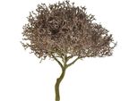 Ramo Artificiale Di Corallo Glassato Decorazione Invernale Decorazione Natalizia Glitterata Ø23Cm
