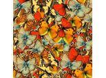 Grafika Puzzle Farfalle 1000 Pezzi Colorati Gioco Di Posa