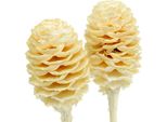 Fiori Secchi Di Sabulosum Sbiancati, Rami Decorativi Per Composizioni Da Tavola E Per La Floriterapia Funebre, 25 Pezzi