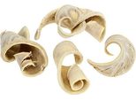 Elephant Ear Sbiancato 25 Pezzi Fiori Secchi Decorativi Naturali, 25 Pezzi