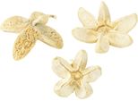 Fiori Decorativi Sbiancati 12 Pezzi - Set Di Fiori Secchi Decorativi Naturali, 12 Pezzi