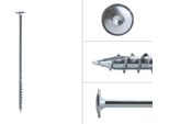 Viti A Testa Bombata Zincate 10 X 240 Mm Torx 40 - Confezione Da 25 Pezzi