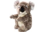 Orso Carl Dick Koala Di Circa 22 Cm, Peluche, Peluche, Peluche 3681