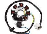 Statore Sgr 8 Poli Con Pick-Up