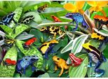Alipson Puzzle Fun Frogs 500 Pezzi Giocattolo Colorato