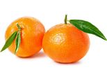 Albero Di Limoni Clementine Spinoso (120-150 Cm) - Pianta Di Clementine Dolci Per Giardino E Terrazzo, Resistente, Fruttifera