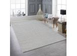 Tappeto Da Salotto A Pelo Corto Di Facile Manutenzione Con Design Moderno In Grigio Dimensioni - 160 X 220 Cm