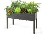 Costway Letto Rialzato In Legno, Grande Letto Di Coltivazione, Fioriera A Telaio Freddo, Cassetta Per Fiori, Vaso Per Erbe Aromatiche, Mangiatoia Per Piante, Letto Per Piante, 125X59X76 Cm (Grigio)