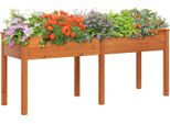 Costway Letto Da Giardino Rialzato In Legno, Letto Da Giardino Rialzato, Fioriera Con Divisorio E Fori Di Drenaggio, Letto Per Ortaggi, Letto Per Piante, Letto Per Erbe 184X58X77 Cm Marrone