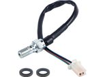 M10X1,25 Tubo Olio Moto Universale Pompa Idraulica Interruttore Luce Freno Posteriore (#01)