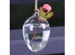 Piante Appese Fioriera Vaso Vaso Da Parete Acquario Idroponico Contenitore Home Decor
