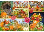 Puzzle Bluebird Colori D'autunno - 1000 Pezzi