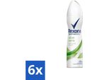 Rexona - Fresh Aloe Vera - Deodorante Spray - 150 Ml - Confezione Risparmio - 6 Pezzi