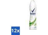 Rexona - Fresh Aloe Vera - Deodorante Spray - 150 Ml - Confezione Risparmio - 12 Pezzi