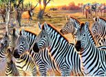 Sunsout Puzzle Xxl - Zebre E Amici - 500 Pezzi Animali