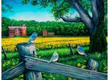 Sunsout Puzzle Sunflowers 500 Pezzi - Puzzle Colorato