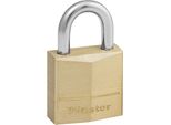 Lucchetto Master Lock In Acciaio 120EURD