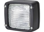 Fari Da Lavoro Alogeni Illuminazione A Distanza Ravvicinata Hella Per Renault Liebherr
