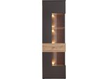 Vitrine Forte "Como", Grau (Grau, Eichefarben), B:60,4Cm H:203,3Cm T:41,3Cm, Holzwerkstoff, SchräNke, Vitrine, Vitrine, GlastüRe, Led Beleuchtung, Soft Close Linksanschlag
