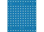 Pannello Forato L450Xl500Mm Azzurro Rasterplan