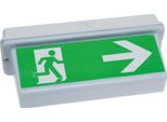 Chilitec Luce Per Vie Di Fuga A Led NL-D2 30 Led IP65 Per Montaggio A Soffitto