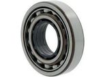Cuscinetto A Quattro Punti QJ209 /C2 Id 45Mm Od 85Mm Larghezza19Mm Skf