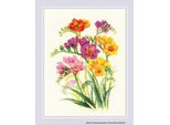 Set Di Ricami Riolis Per Il Ricamo A Punto Croce "Fragrant Freesia"", Motivo A Contare"